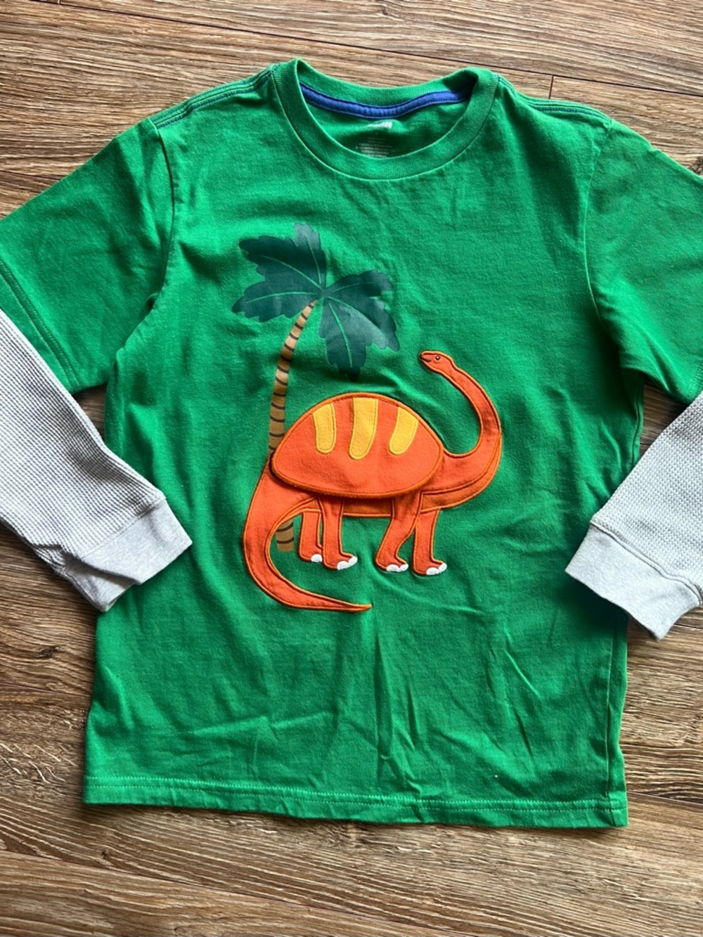 Gymboree Green Long-Sleeve Tee with Orange Dinosaur